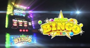 bingo-thumbnail2